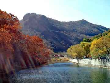 新澳门二四六天天彩，驸马嫁到